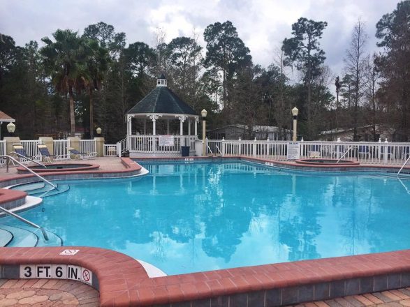 Sherwood Forest Pool